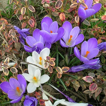 Гостевой дом Lovas Vendeghaz Хайдусобосло